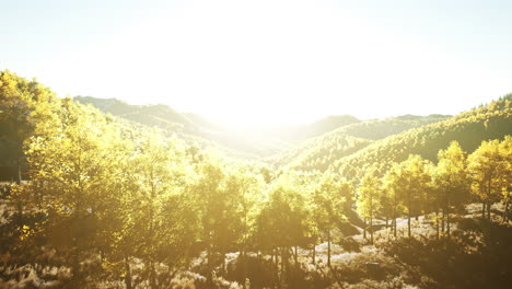 Luftdrohnenansicht-Eines-Bergwaldes-Mit-Bunten-Herbstbäumen