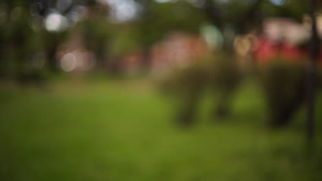 primer plano de dos amigos compartiendo una olla de yerba mate en un parque