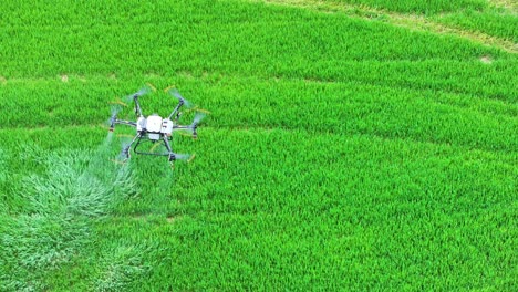 Vista-Aérea-De-Drones-Agrícolas-Volando-Y-Rociando-Fertilizante-Sobre-El-Campo-Agrícola-Verde-60fps