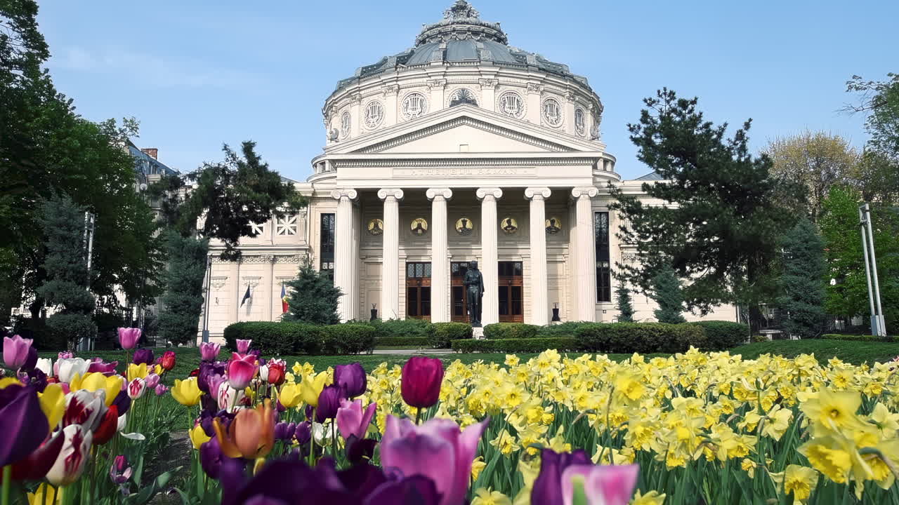 Enjoy a stunning view of a famous concert hall in Romania surrounded by colorful flowers in full bloom. Visitors admire the vibrant garden on a bright spring day