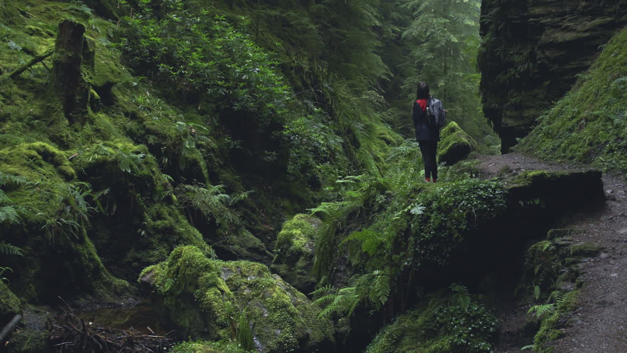 Woman Looks Out At Gorge During Walk in Pucks Glen Scotland 4K