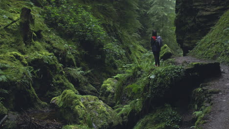 Frau-Schaut-Während-Eines-Spaziergangs-In-Pucks-Glen-Schottland-Auf-Die-Schlucht-4k