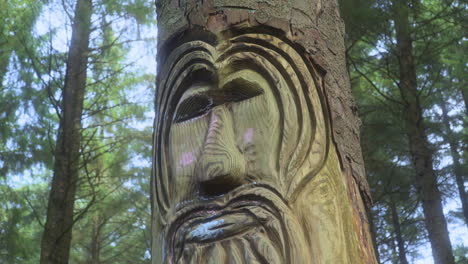 face carved into pine tree trunk in secluded pine forest on summer day with slow pan