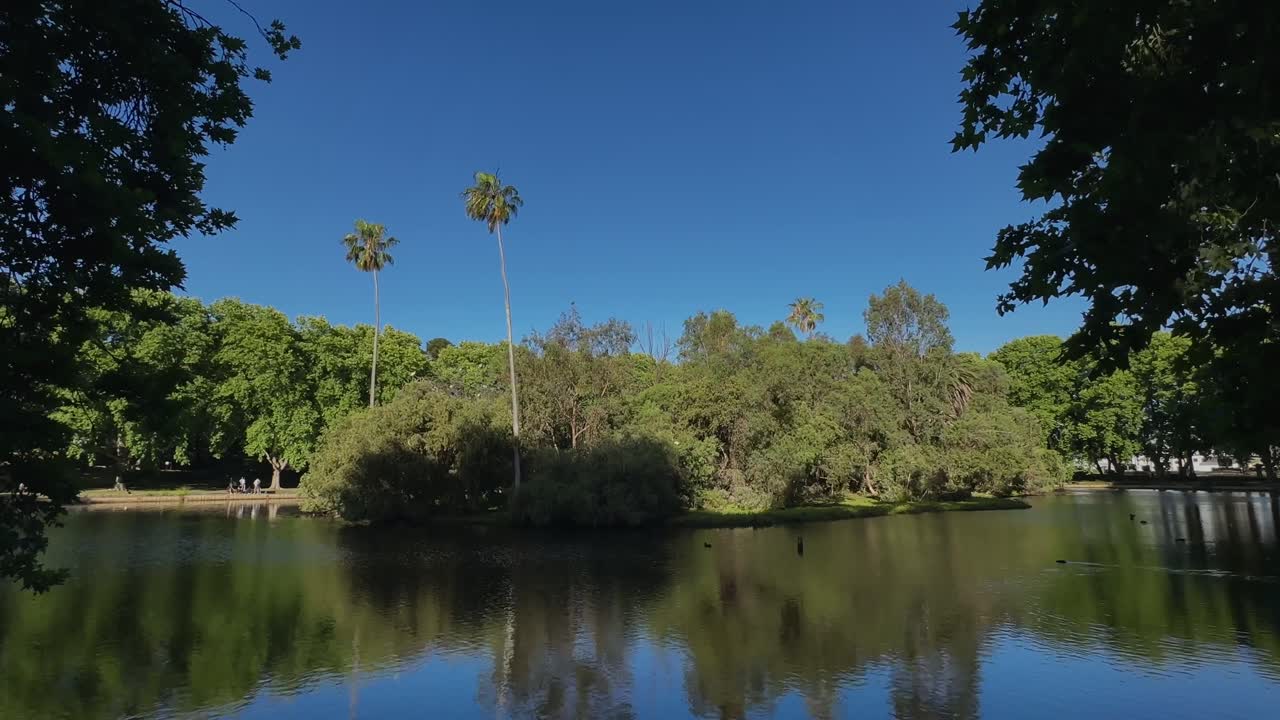 4k Hyde Park Perth blue lake bordered by green Plane trees inner-city oasis