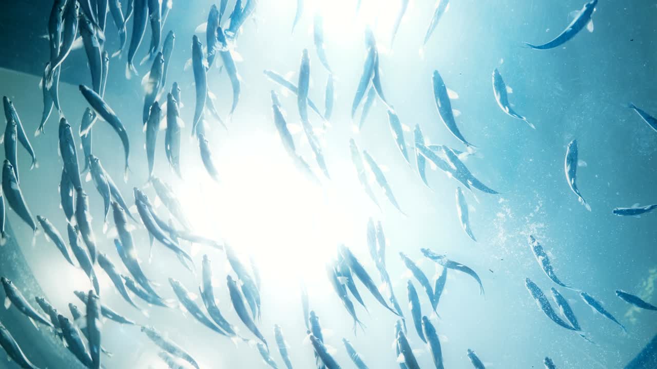 머리 위에 헤엄치는 물고기의 영화적인 초상화입니다.