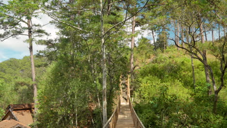 bamboo rustic bridge over forest valley at cu lan folk village, da lat, vietnam