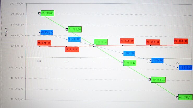 Analytical information. Schedule of efficiency of investments