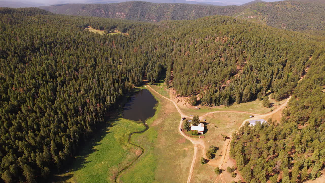 Pecos Wilderness spruce fir pine evergreen green forest tree aerial drone Santa Fe New Mexico USA