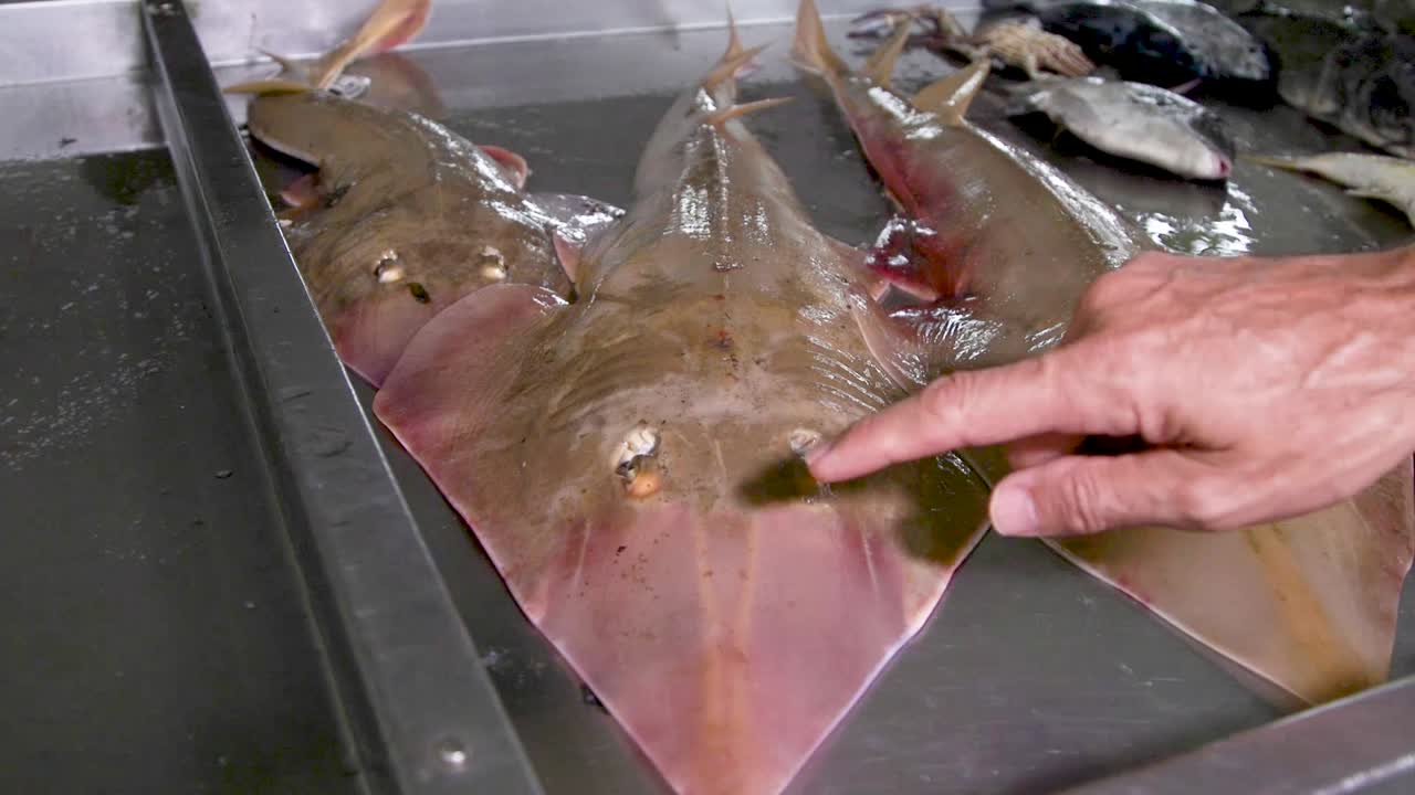 어부의 시장에서 신선한 생선, 가오리