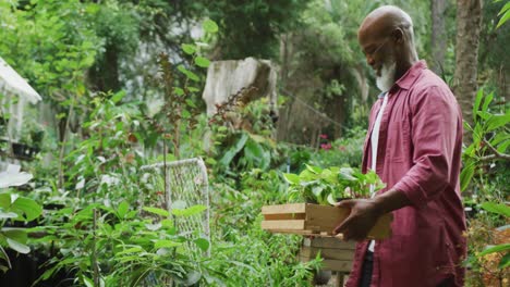 Happy-senior-african-american-man-with-his-grandson-holding-plants-in-garden