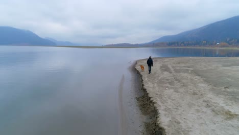 Man-walking-with-his-dog-near-lakeside-4k