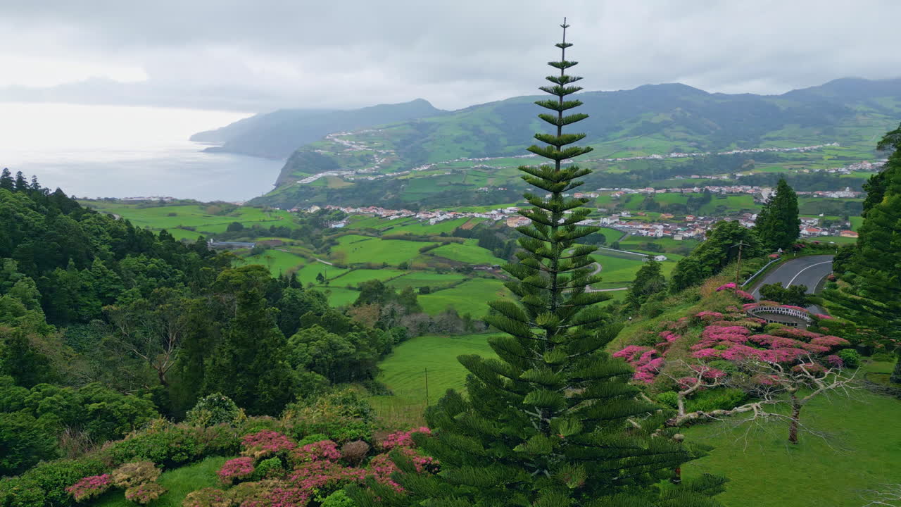 colina de hierba lluviosa lado del océano vista aérea. vegetación exuberante laderas clima sombrío