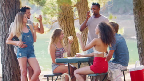 group of friends making a toast at a table by a lake