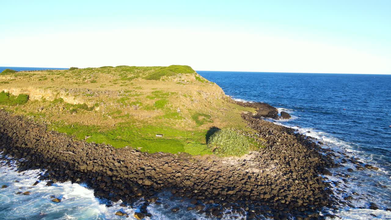 オーストラリア、ニューサウスウェールズ州のコーラル海にあるクック島自然保護区で、緑豊かな植生の中に海鳥が巣穴を掘る