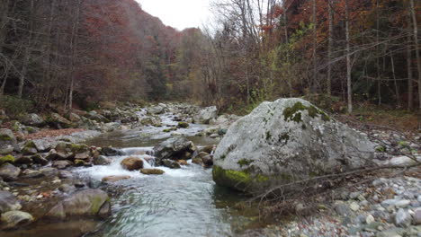 autumn mountain river, fall forest trees foliage aerial view