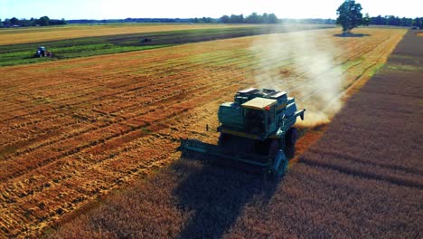 combine harvester harvesting wheat in agricultural field at daytime - drone shot