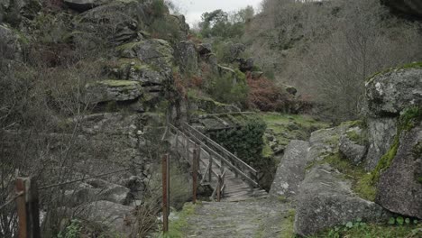 wooden bridge in gerês, lush minho, portugal