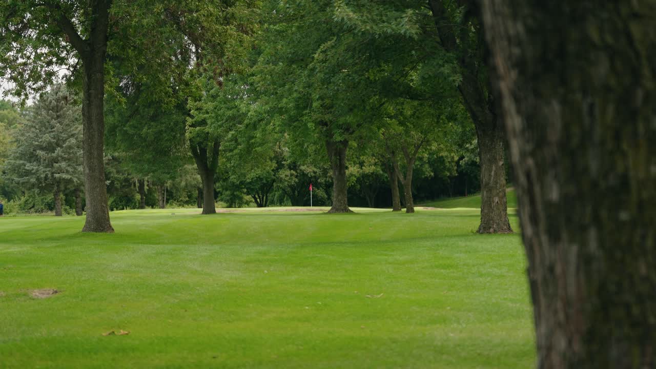 A golf flag peaking through the trees on a golf course