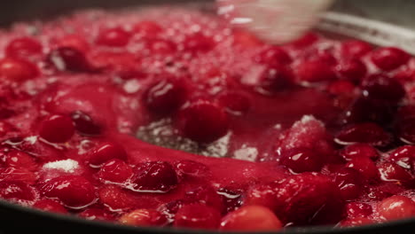 frozen cranberries cooking for tea or jam, background close up of cranberry berries in on the kitchen, chef making dessert healthy pie.