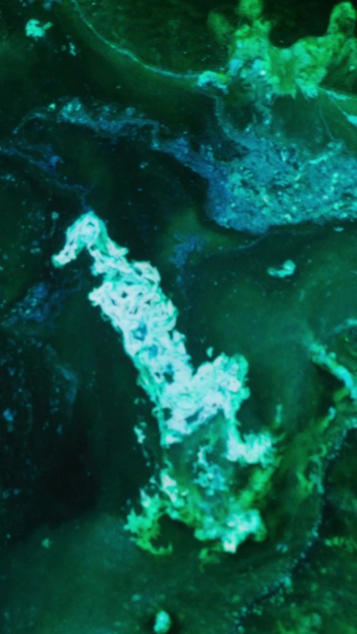 Vertical abstract green and teal ink flowing into organic liquid patterns on a white background, creative art and digital design view.