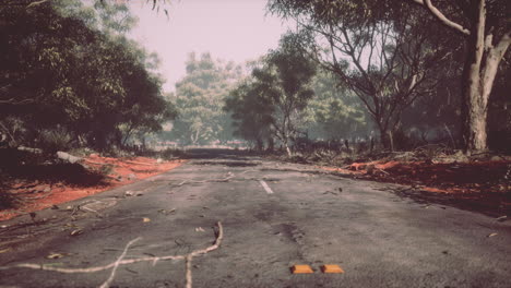 Asphaltierte-Landstraße,-Die-Durch-Das-Ländliche-Senegal-Führt