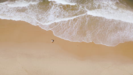 aerial view of a beach with waves and a person