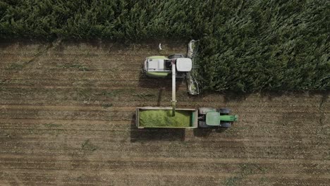 Top-down-Drone-footage-of-Combine-harvester-cutting-a-field-of-corn