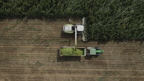 top down drone footage of combine harvester cutting a field of corn