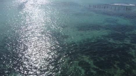 maceio coast, beautiful crystal clear waters on reef