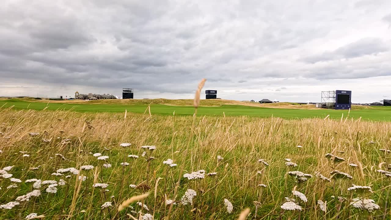 풀과 구름이 가득한 평화로운 풍경