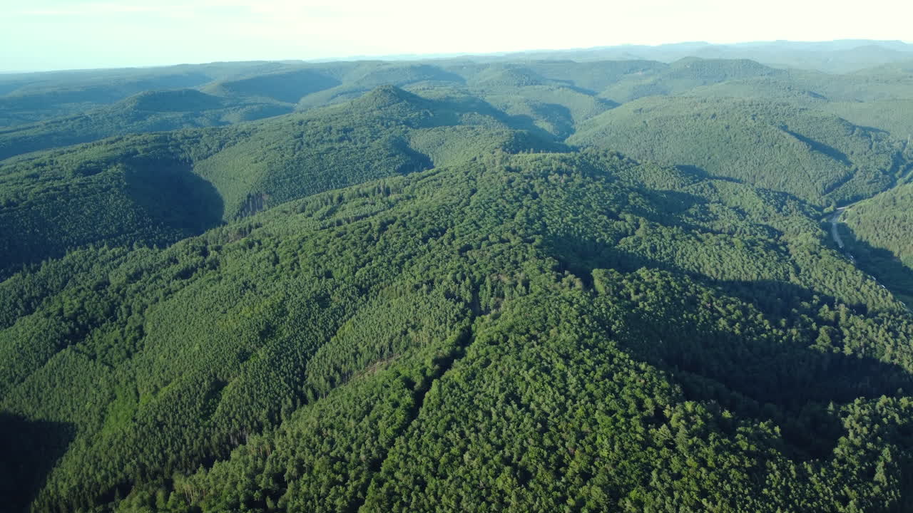 Aerial View of Lush Green Mountains and Forest