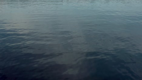 small waves on the surface of the lake, drone shot of blue water texture