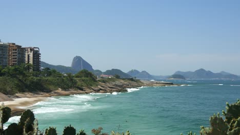 playa de río de janeiro con olas y cactus en primer plano y montañas y cielo azul en segundo plano