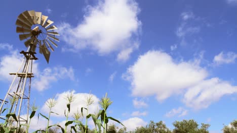 Windmill-in-a-Cornfield-