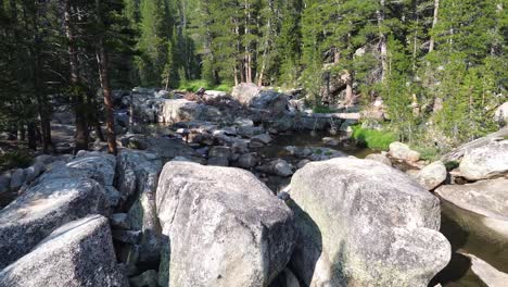 serene river flowing through rocky forest