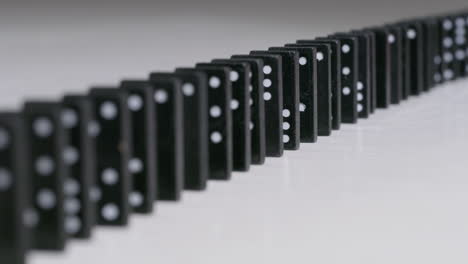 dominoes row of black and white in studio