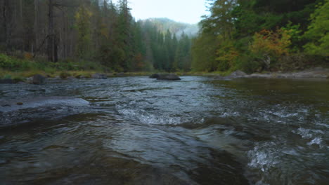 Low-angle-shot-looking-down-steam-over-mountain-creek