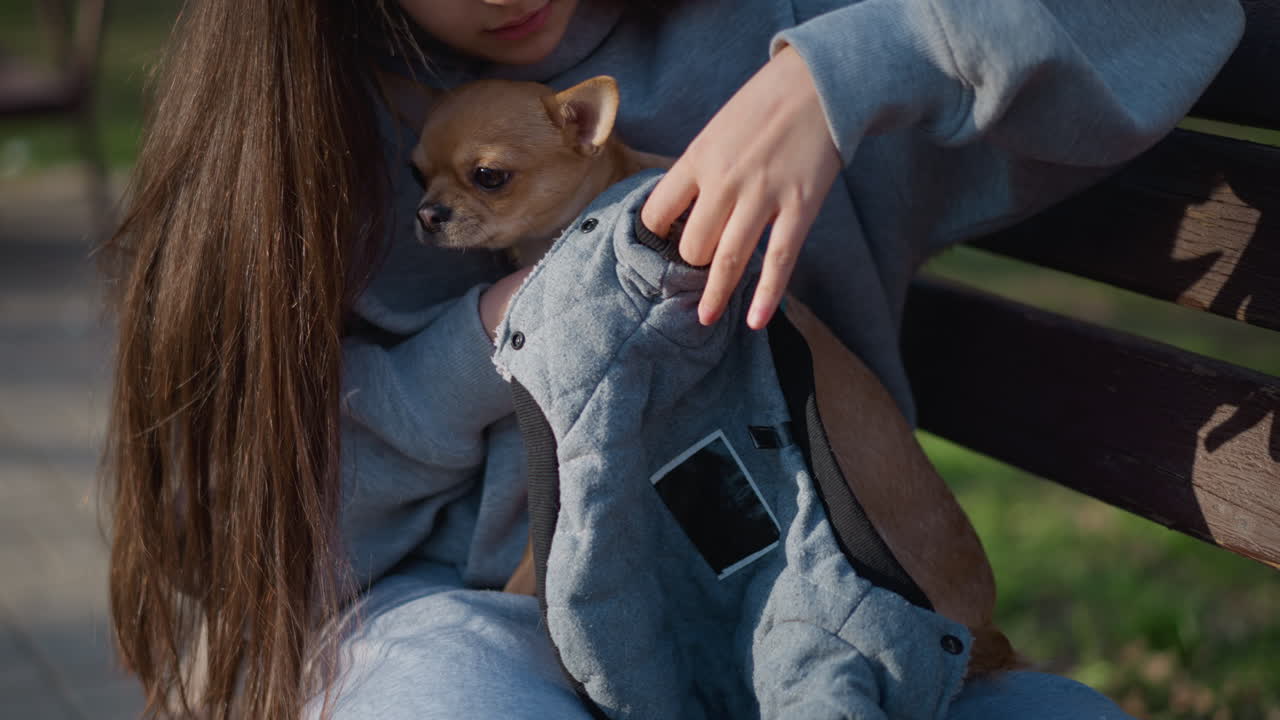 애완동물 돌보기, 어린 소녀가 작은 애완동물을 부드럽게 감싸 안고, 여성이 작은 강아지를 아늑한 담요로 조심스럽게 덮어주고, 소녀가 평화로운 야외 환경에서 부드러운 천으로 치와와를 사랑스럽게 감싸고 있어요.