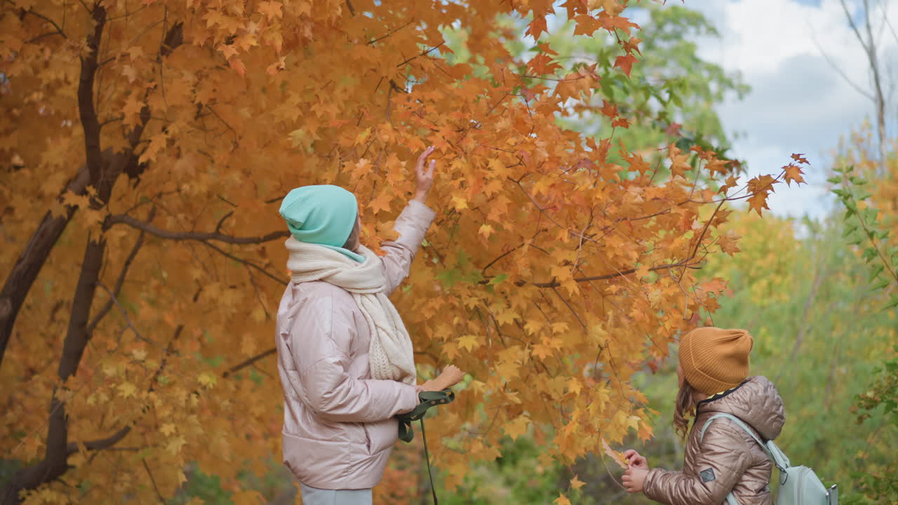 adult wearing pastel jacket and mint hat holds leash while trimming vibrant orange leaf from tree as young girl in brown coat and mustard beanie collects fallen autumn leaves in colorful park