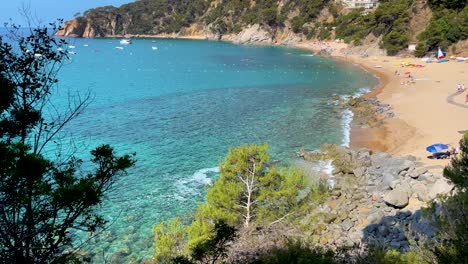 Costa-Brava-Preciosa-Playa-Virgen-De-Aguas-Transparentes-Color-Turquesa-Frondosa-Vegetación-De-Pinos-Y-Rocas-Arena-Amarilla-Gerona-Cataluña-Mediterráneo-Vistas-Panorámicas-Cala-Tossa-De-Mar-Llevad?