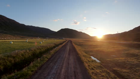 camino rural con amanecer dorado y campo de heno