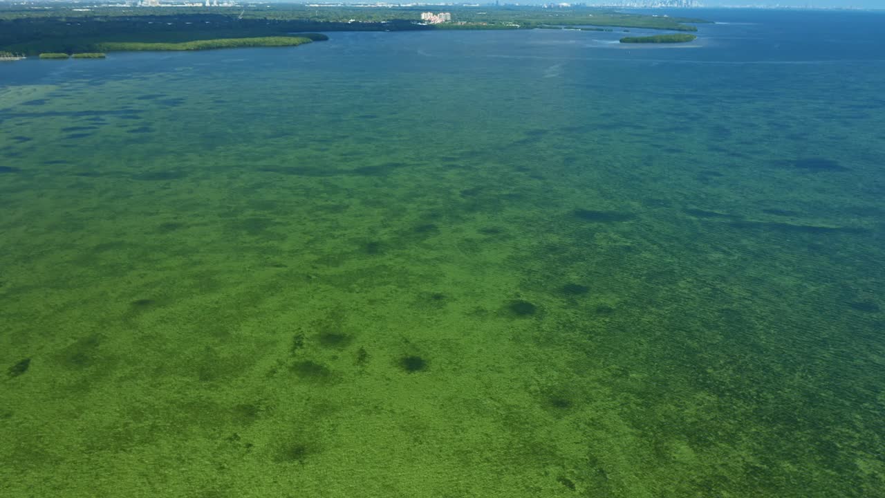 Le calme acque costiere poco profonde rivelano chiazze sottomarine di alghe e delicati motivi di sabbia. In lontananza, appaiono isole di mangrovie, a testimonianza di un pacifico ambiente marino naturale.