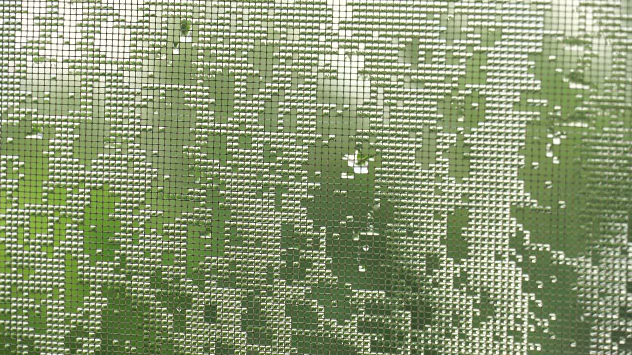 gotas de agua, como lentes, en la red de mosquitos. verano lloviendo lluvia en la ciudad. video 4k