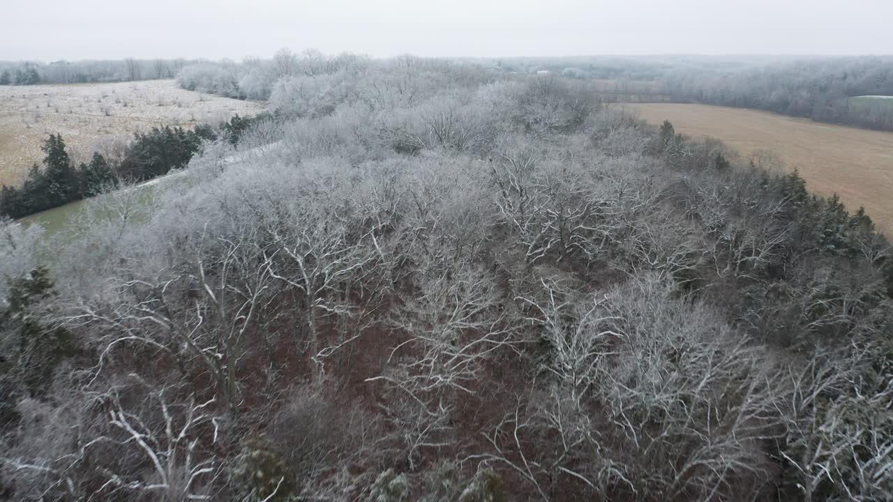 Carrellata aerea su alberi ghiacciati in una campagna agricola.