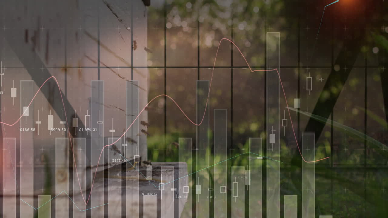 Animation of financial data charts overlaying bees entering hive in garden setting