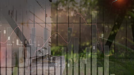 animation of financial data charts overlaying bees entering hive in garden setting