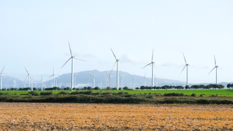 field of wind turbines