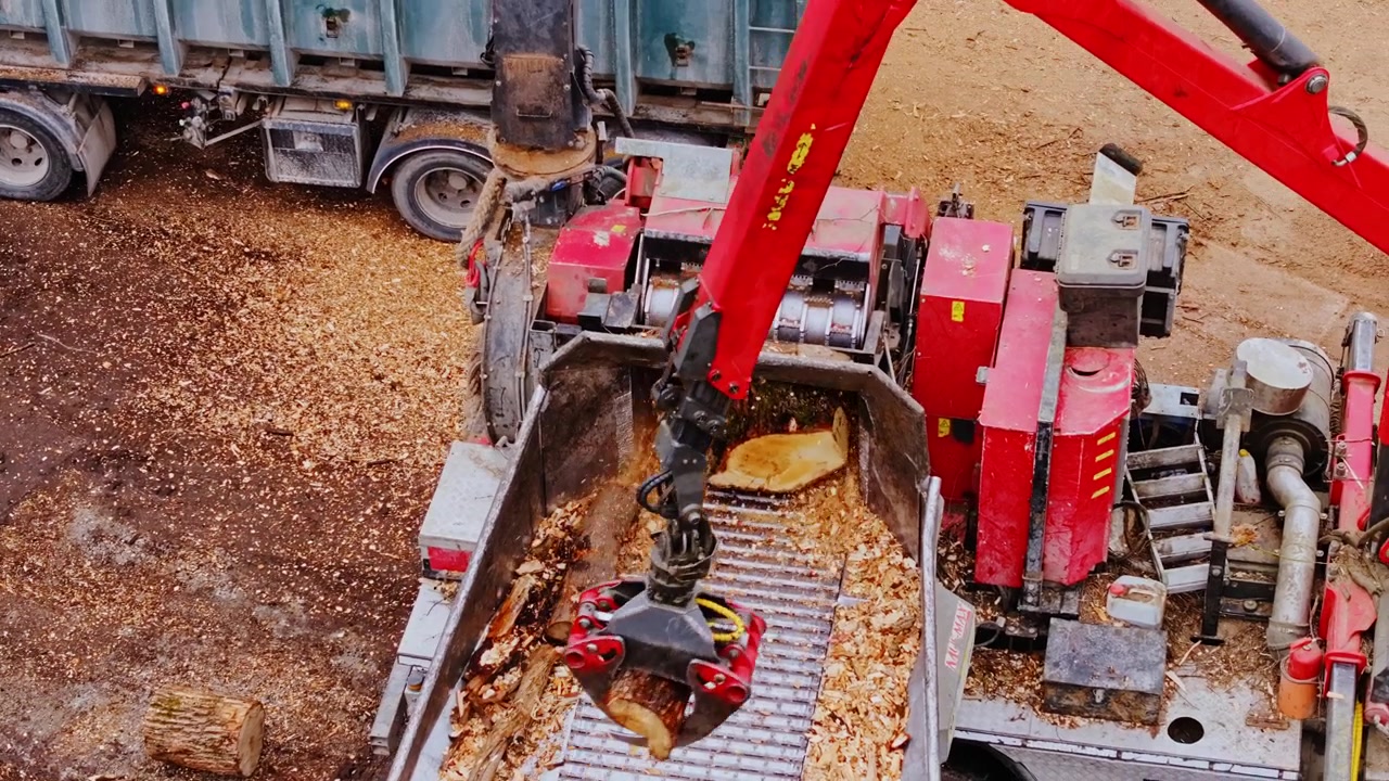Garra vermelha alimenta toras de madeira em picador durante o processamento de biomassa.