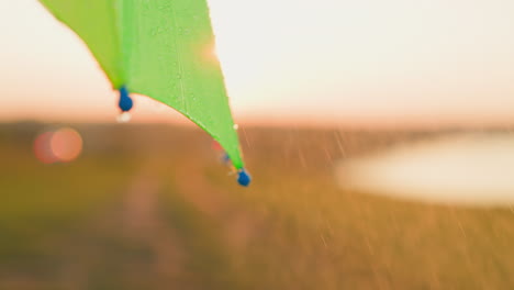 green umbrella in the rain at sunset