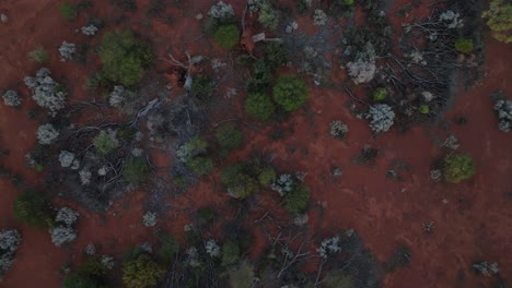 drone clip showing unique colourful environment of australia's remote outback